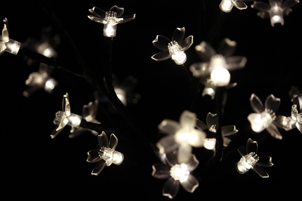 lichter