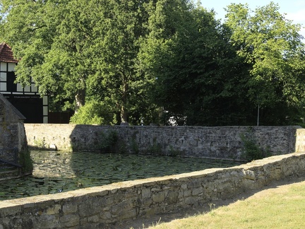 schelenburg3