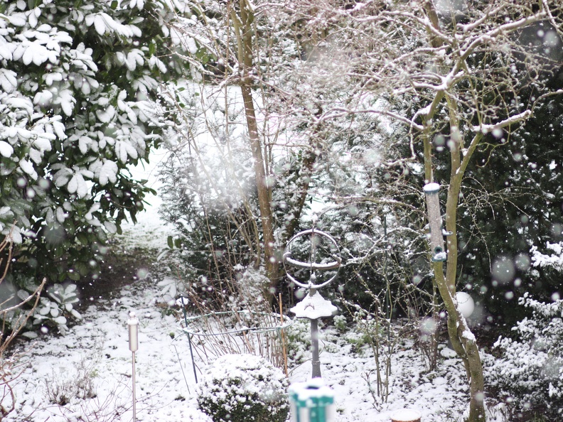 schnee im Januar2-2021.JPG