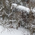 IMG 20210207 135344 759